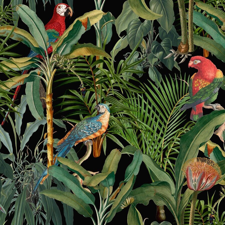 Mind the Gab behang Parrots of Brasil WP20522 papagaaien behang